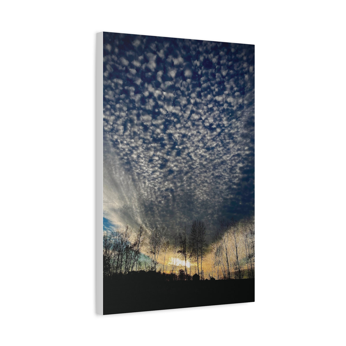 Cloud Canvas