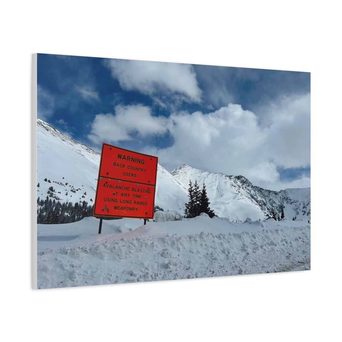 Avalanche Warning Canvas