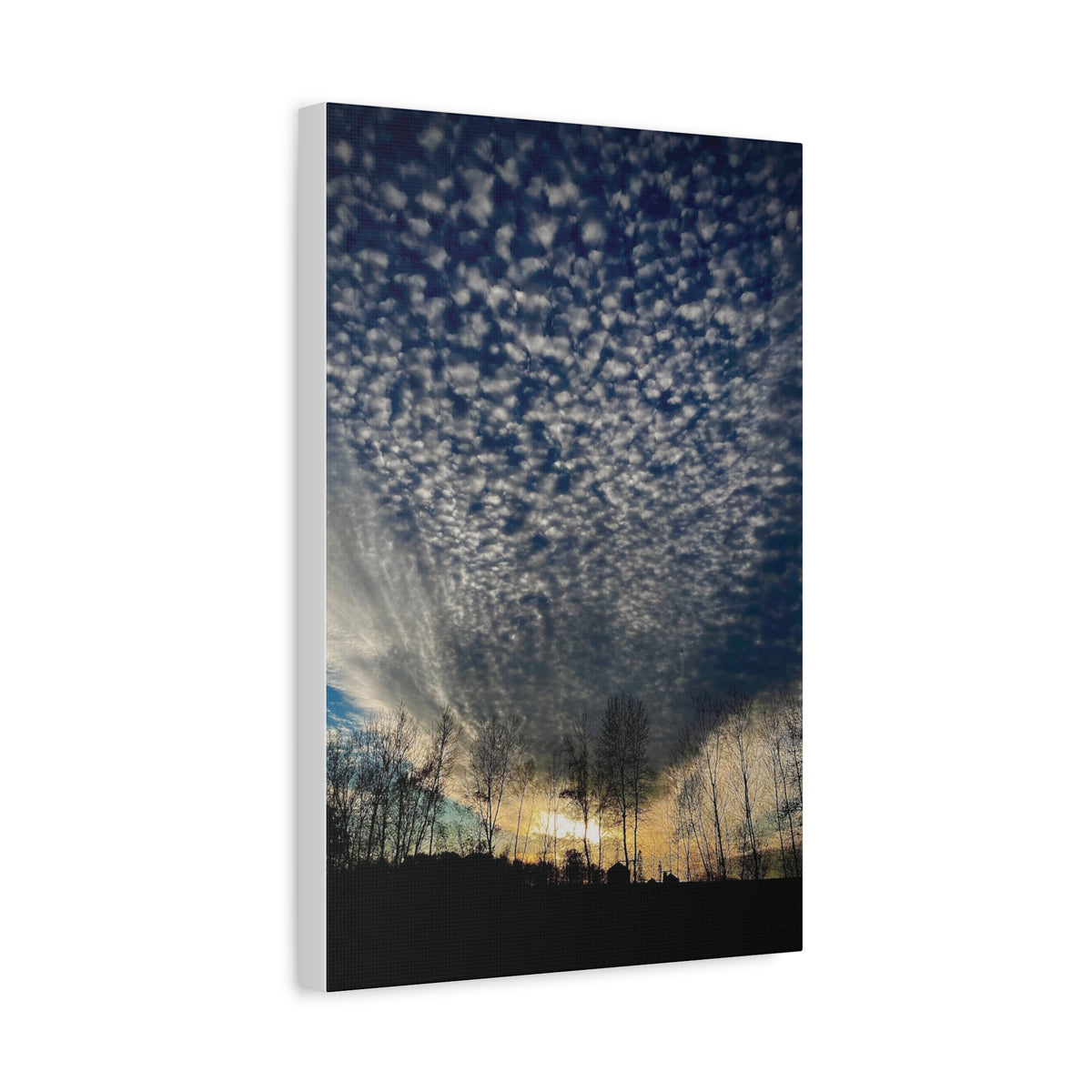 Cloud Canvas
