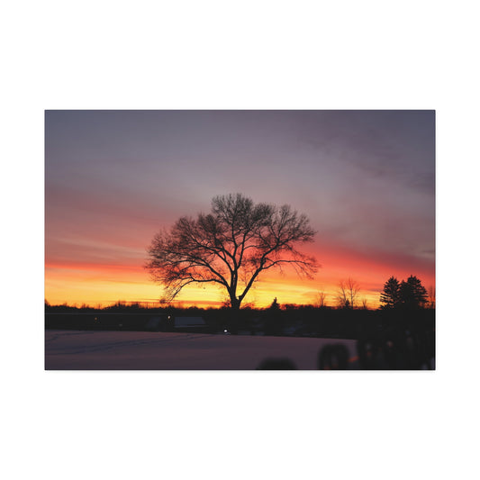 Ember Sky