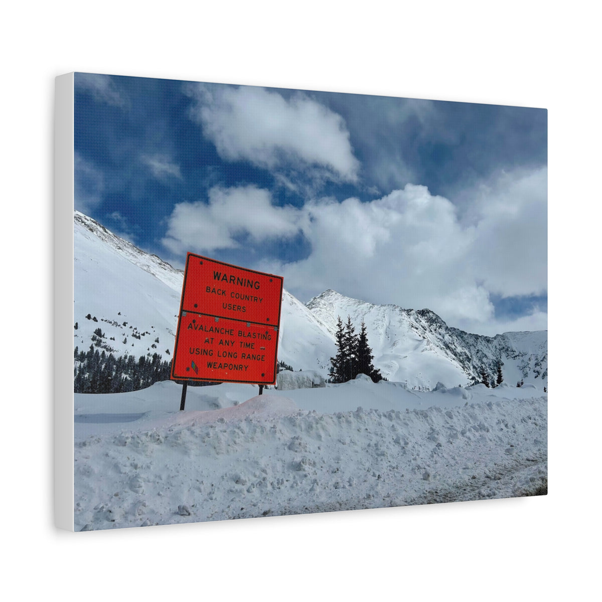 Avalanche Warning Canvas